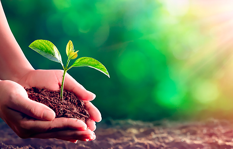 AG8����_AG8���޼��š�(�й���)�ٷ���վ