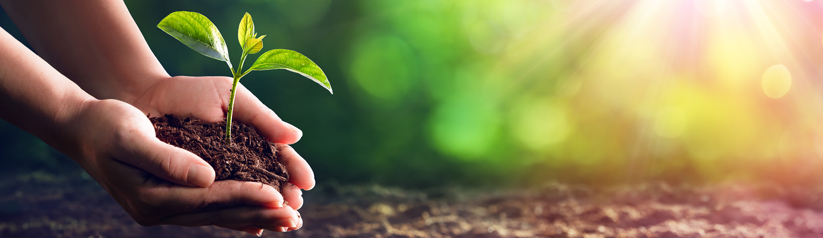 AG8����_AG8���޼��š�(�й���)�ٷ���վ